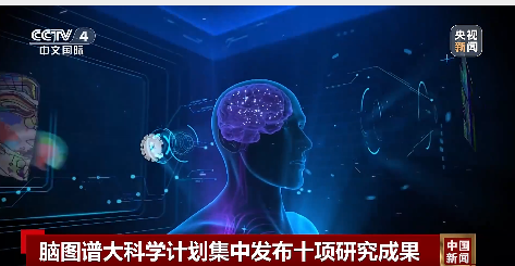金股配资网 我国科学家在世界上首次绘制！事关脑科学