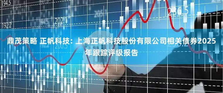 鼎茂策略 正帆科技: 上海正帆科技股份有限公司相关债券2025年跟踪评级报告