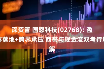 深资管 国恩科技(02768): 盈喜落地+跨界承压 商誉与现金流双考待解